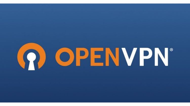 如何在 Debian 11 上设置 OpenVPN 服务器