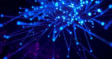 教程：无需代码，跨境电商如何在指纹浏览器快速配置代理 IP